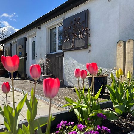 세인트존스 The Stables @ The Forge Cronk Y Voddy 아파트 외부 사진